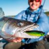 Fishing Accessory Kit Portable Fishing Lures Set for Use Outdoor