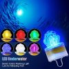 Multi-Color Fish Lure Light